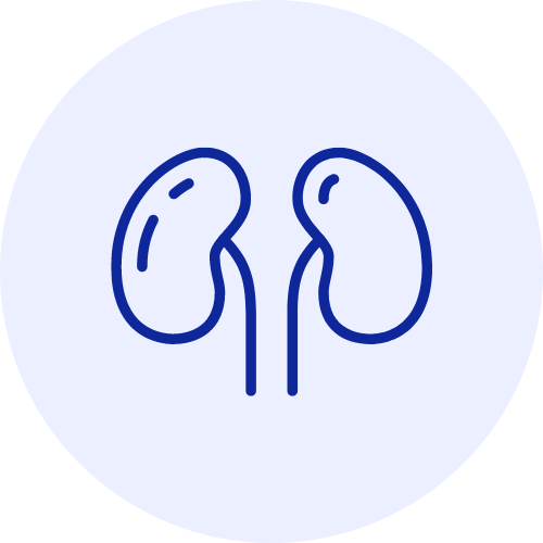 Kidney Tests